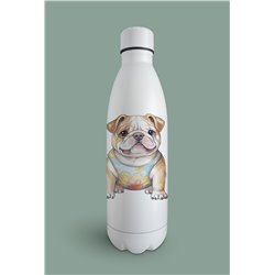 Insulated Bottle  - BD7