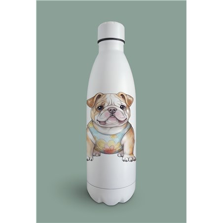 Insulated Bottle  - BD7