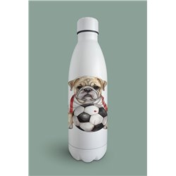 Insulated Bottle  - BD8