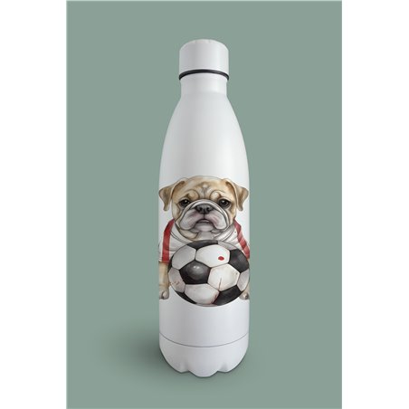 Insulated Bottle  - BD8