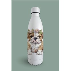 Insulated Bottle  - BD11