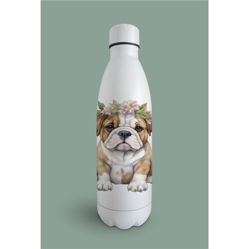 Insulated Bottle  - BD11