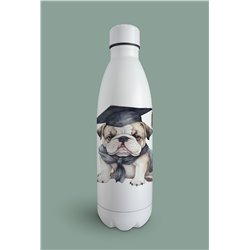 Insulated Bottle  - BD12