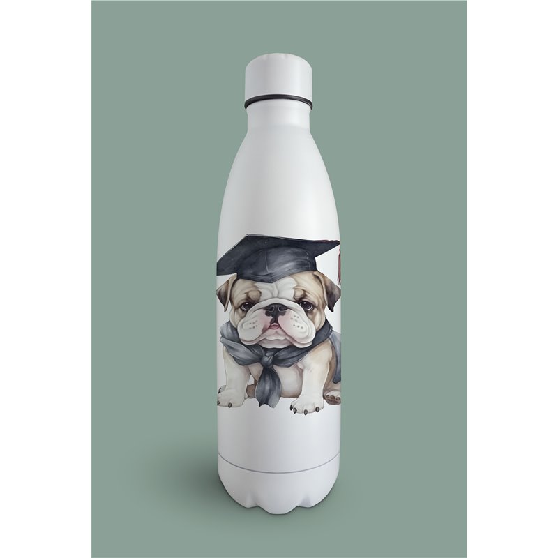 Insulated Bottle  - BD12
