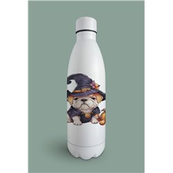 Insulated Bottle  - BD13