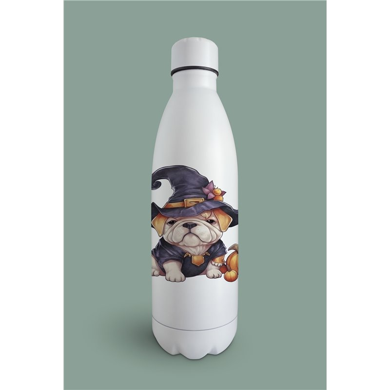 Insulated Bottle  - BD13