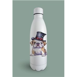 Insulated Bottle  - BD14