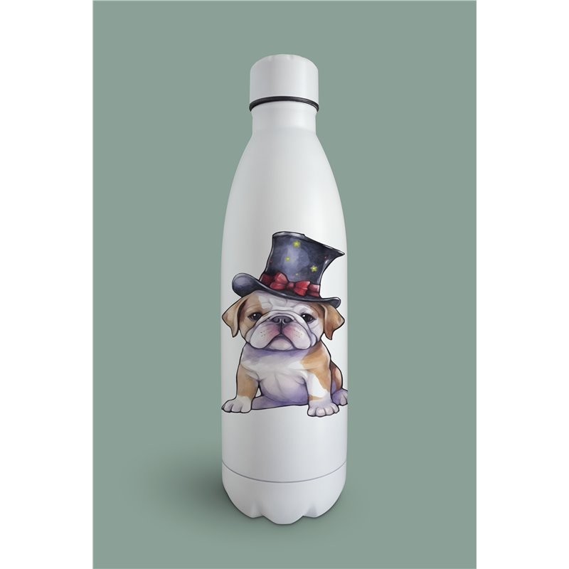 Insulated Bottle  - BD14
