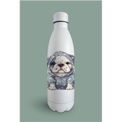 Insulated Bottle  - BD15