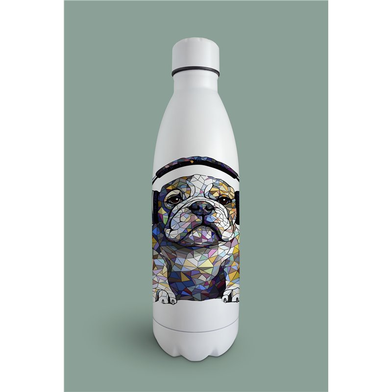 Insulated Bottle  - BD16
