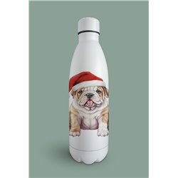 Insulated Bottle  - BD17