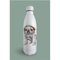 Insulated Bottle  - BD18