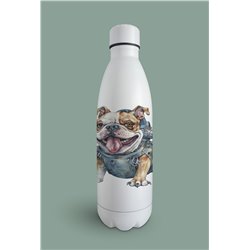 Insulated Bottle  - BD19