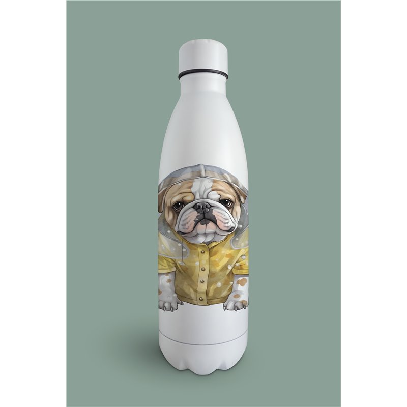 Insulated Bottle  - BD20