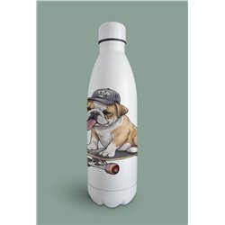 Insulated Bottle  - BD22