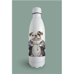 Insulated Bottle  - BD26