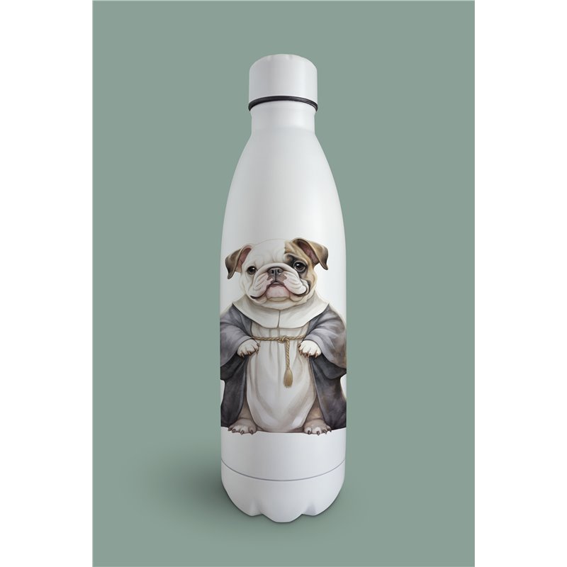 Insulated Bottle  - BD26