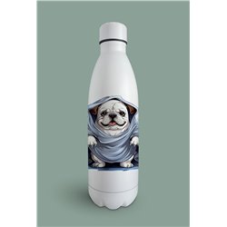 Insulated Bottle  - BD28