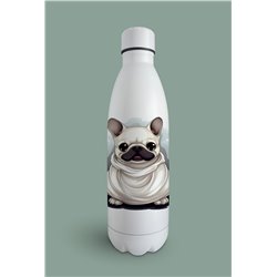 Insulated Bottle  - BD29