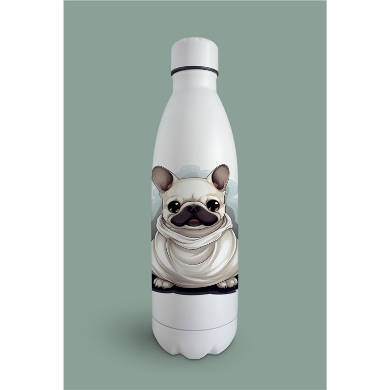 Insulated Bottle  - BD29