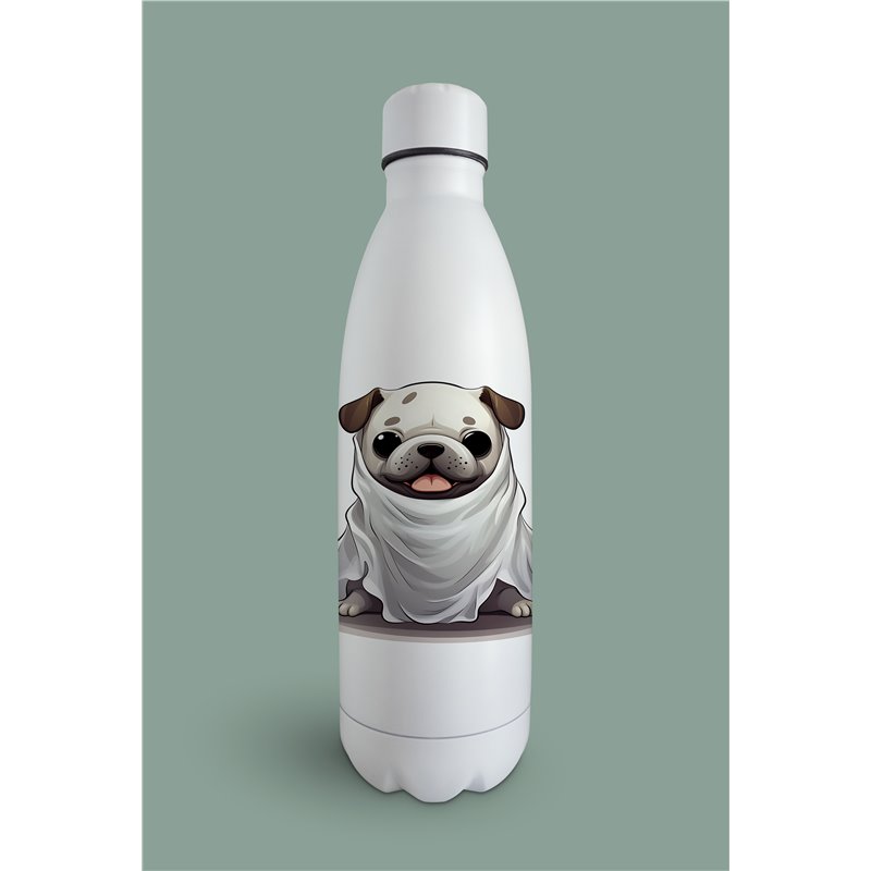 Insulated Bottle  - BD31