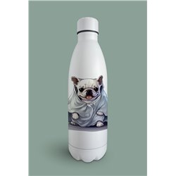 Insulated Bottle  - BD33
