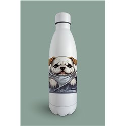 Insulated Bottle  - BD34