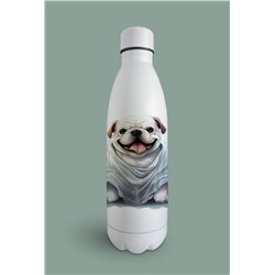 Insulated Bottle  - BD35