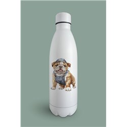 Insulated Bottle  - BD36