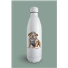 Insulated Bottle  - BD36