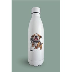 Insulated Bottle  - BD37