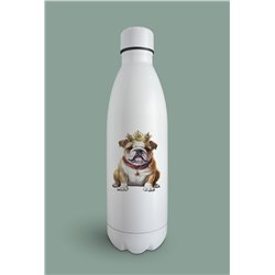 Insulated Bottle  - BD38