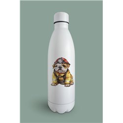 Insulated Bottle  - BD39