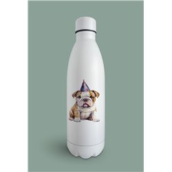 Insulated Bottle  - BD40