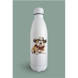 Insulated Bottle  - BD41