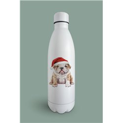 Insulated Bottle  - BD42