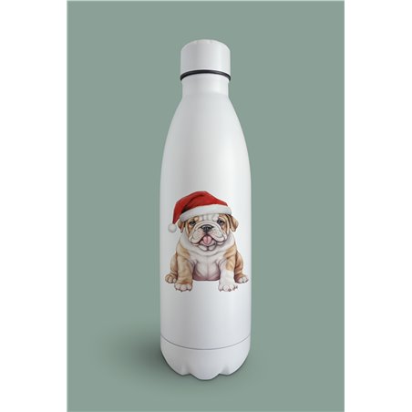 Insulated Bottle  - BD42