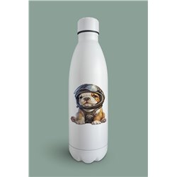 Insulated Bottle  - BD43