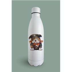 Insulated Bottle  - BD45