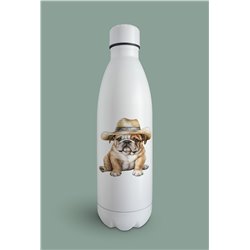 Insulated Bottle  - BD46