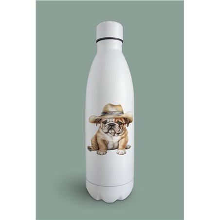 Insulated Bottle  - BD46