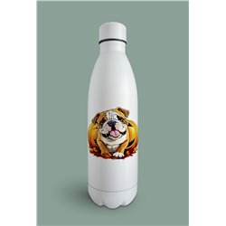 Insulated Bottle  - BD47