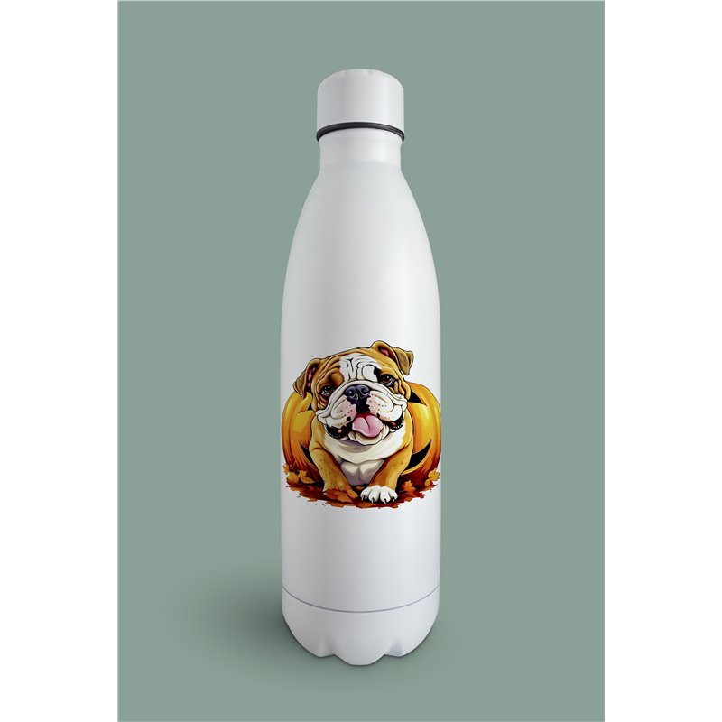 Insulated Bottle  - BD47