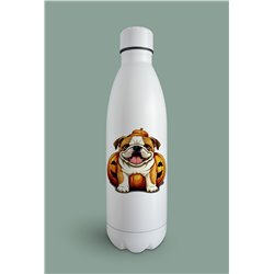 Insulated Bottle  - BD48