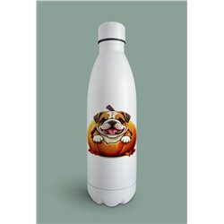 Insulated Bottle  - BD49