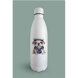 Insulated Bottle  - BD50