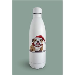 Insulated Bottle  - BD51