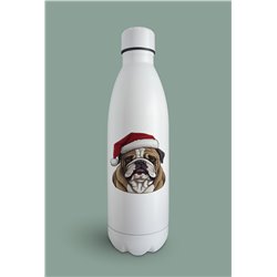 Insulated Bottle  - BD52