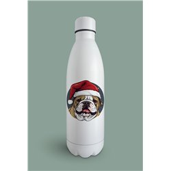 Insulated Bottle  - BD53