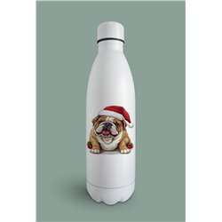 Insulated Bottle  - BD54